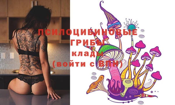 тгк Алзамай