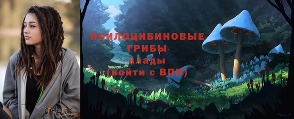 тгк Алзамай