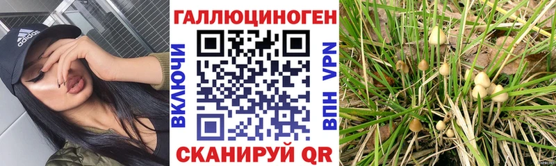 Галлюциногенные грибы Psilocybine cubensis  Купить закладки  Рыбинск 
